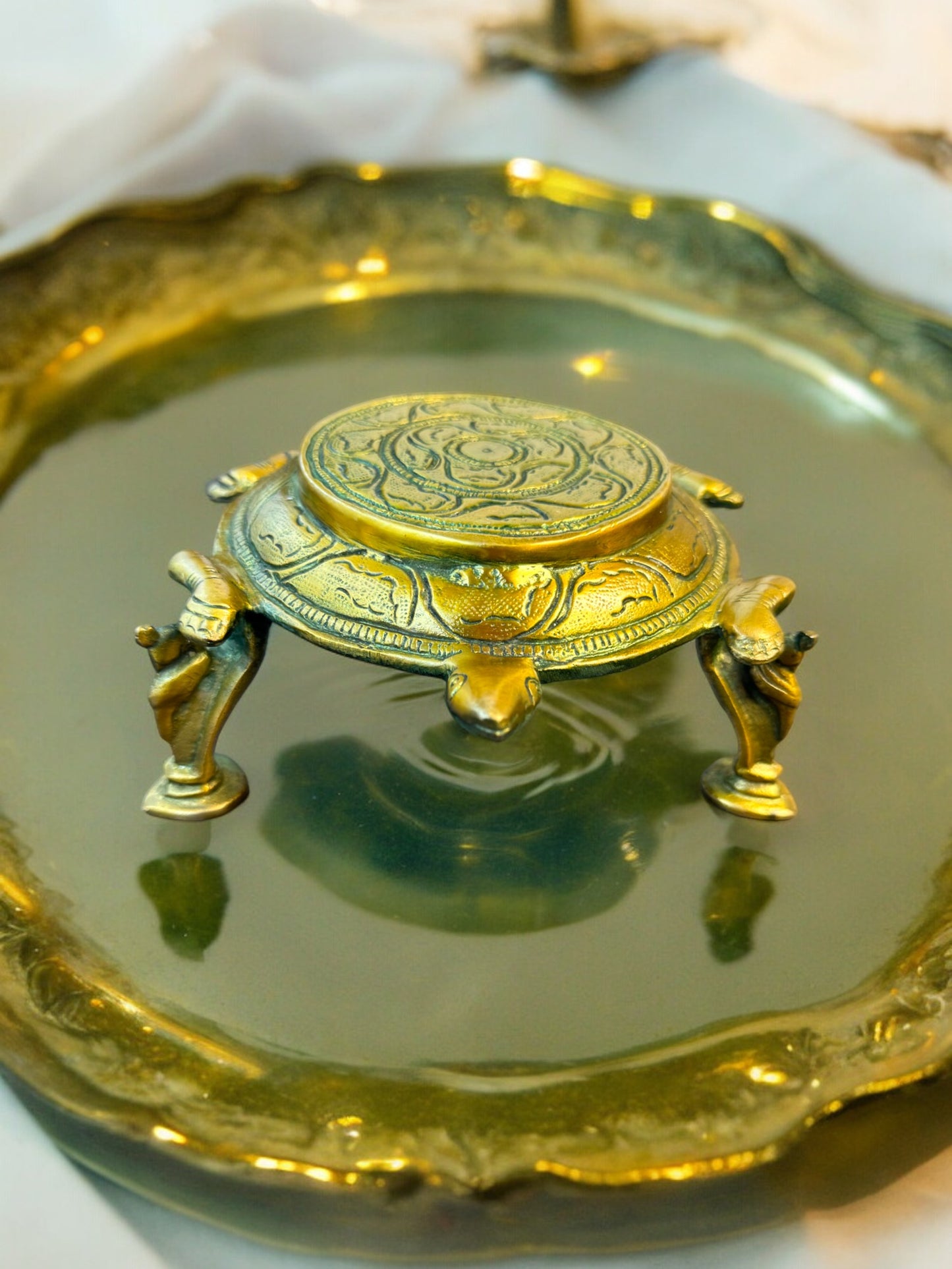 Tortoise Chowki